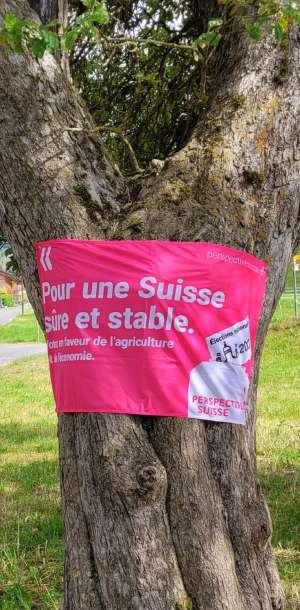 fahne f am baum